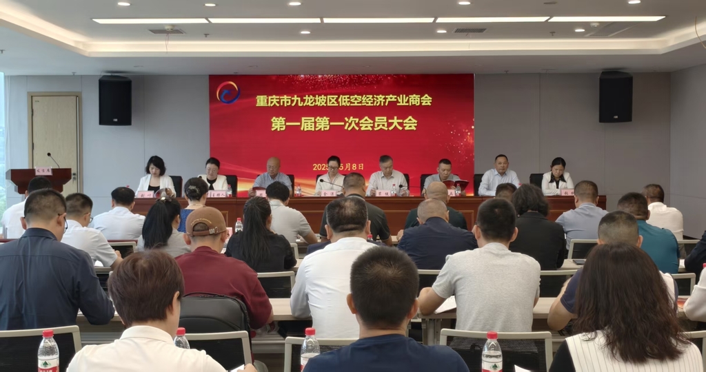 重庆市九龙坡区成立低空经济产业商会。受访者供图