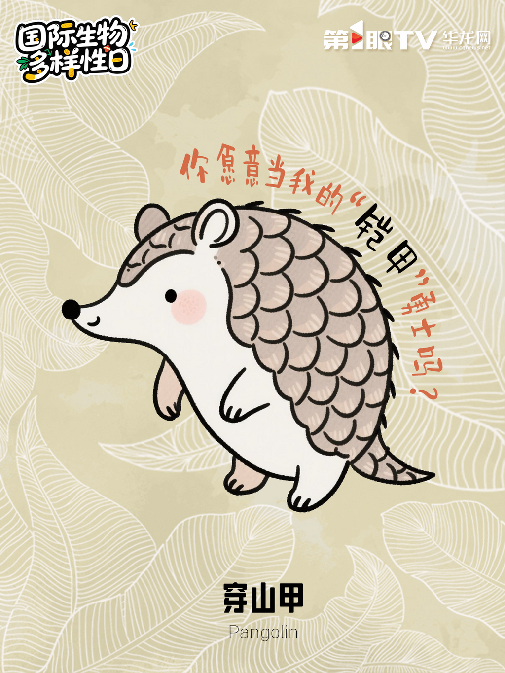 微信图片_20250522093836