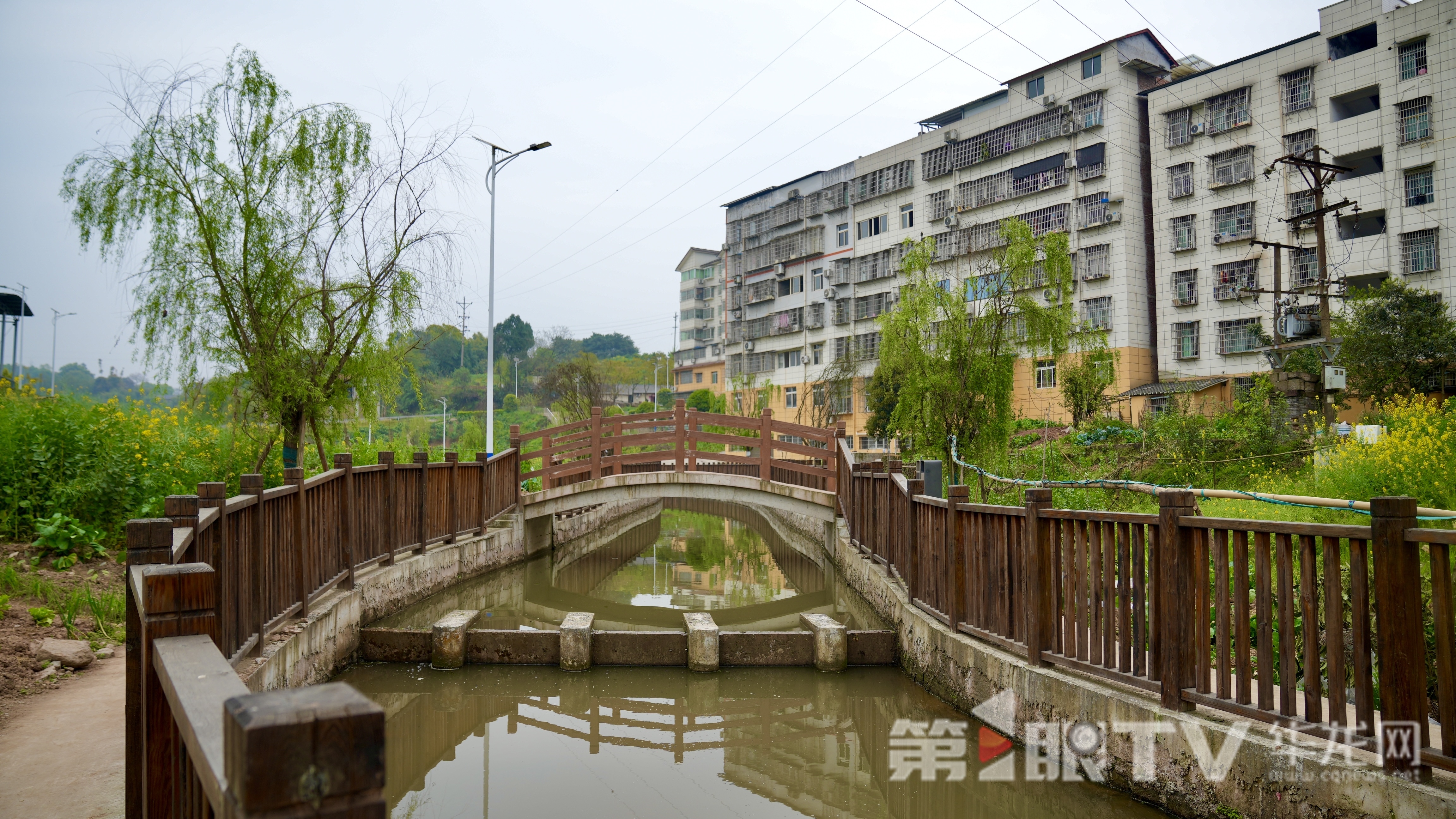 治理后的慈云镇慈云场河沟。第1眼TV-华龙网 记者 刘钊 摄