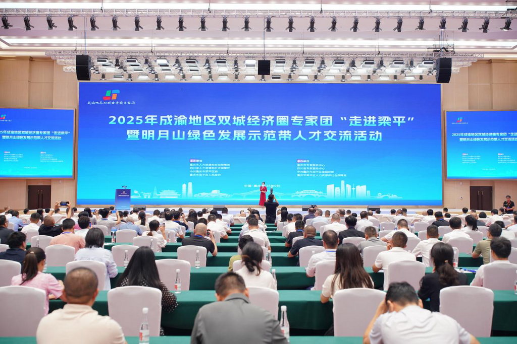 2025年成渝地区双城经济圈专家团“走进梁平”活动成功举行。主办方 供图