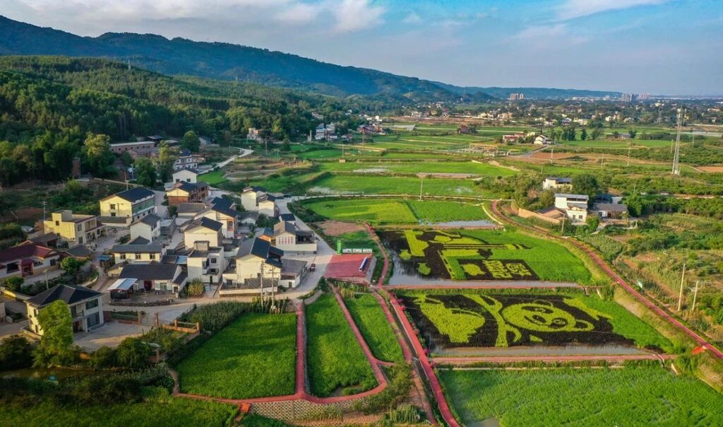 重庆市荣昌区与四川省隆昌市携手共建的成渝现代高效特色农业带“双昌”合作园区。市农业农村委供图