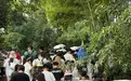 这次贸易战,中国人不再急于反思和“认错”