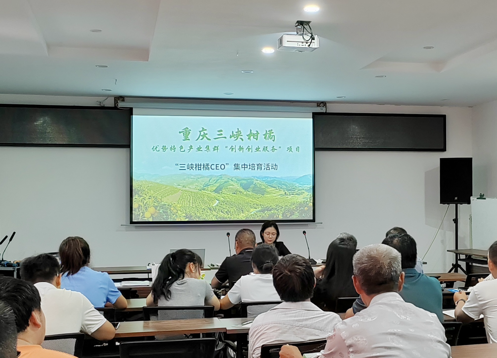 活动培训现场。主办方 供图