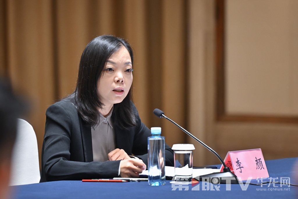 重庆市政府口岸物流办副主任李颜。第1眼TV-华龙网记者 李一鸣 摄