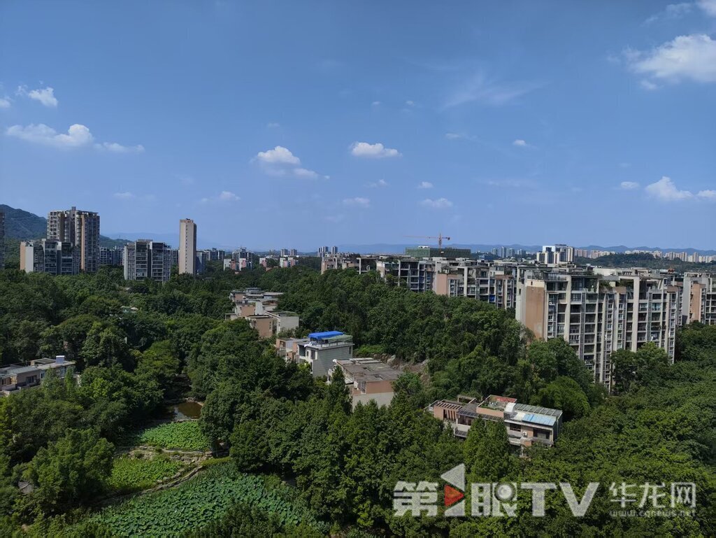今日重庆中心城区晴热高温。第1眼TV-华龙网 实习生 刘湘婷 摄