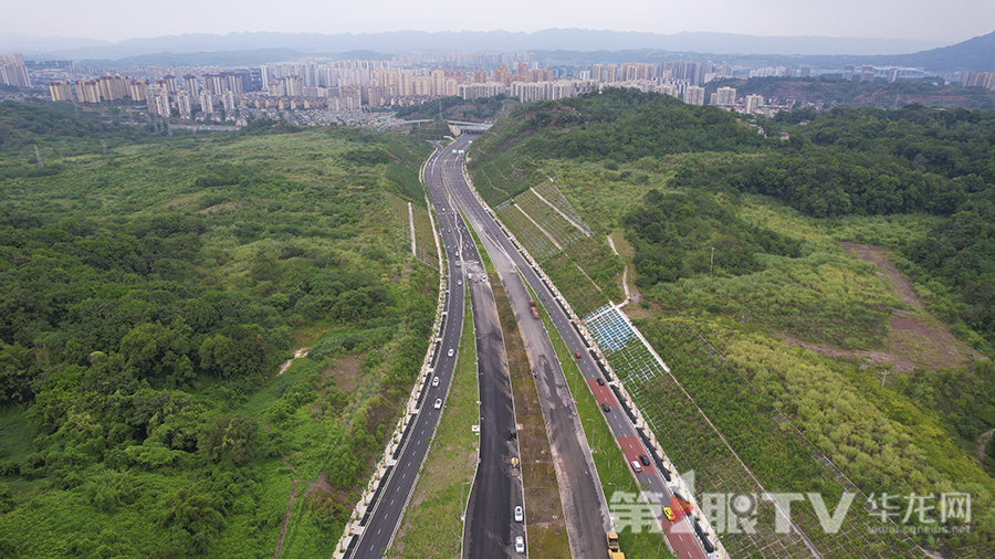 茶黄路起于南山路,止于江南隧道。