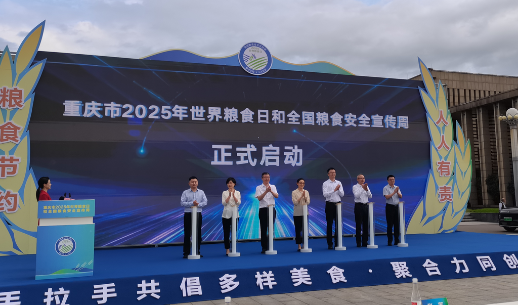 活动现场。受访单位供图