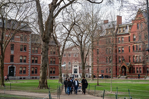 哈佛大学。图片来源:视觉中国
