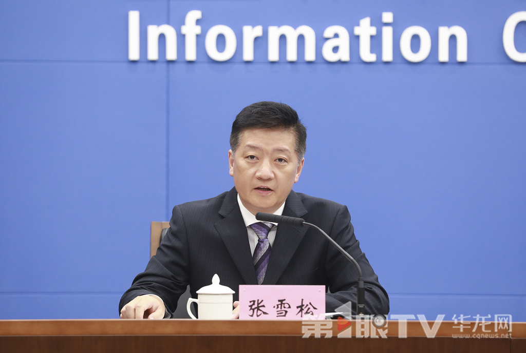 市税务局党委委员、总会计师张雪松回答记者提问。第1眼TV-华龙网首席记者 李文科 摄