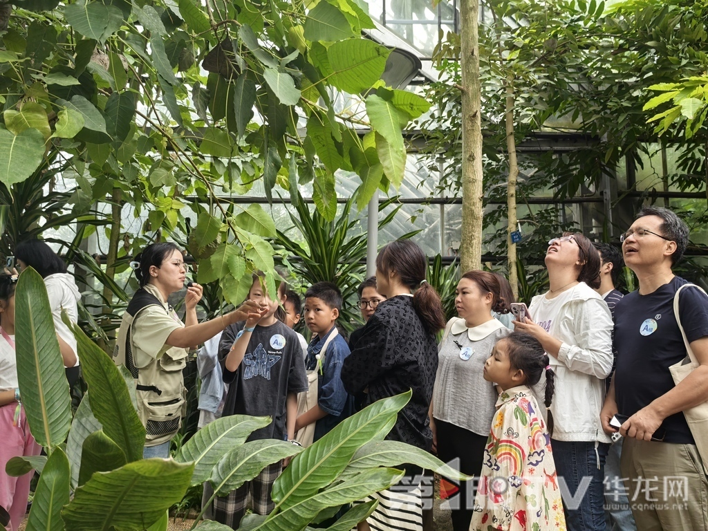 亲子家庭在南山植物园听植物科普讲解。第1眼TV-华龙网 李舒 摄