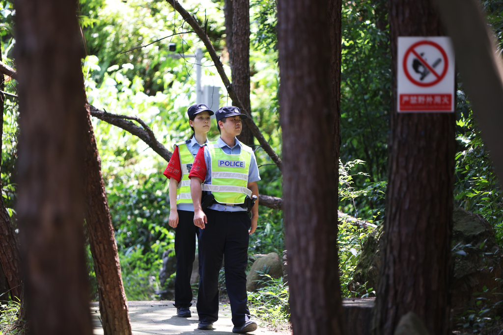 唐家沱派出所民警对林区火灾隐患进行了细致排查。 警方供图