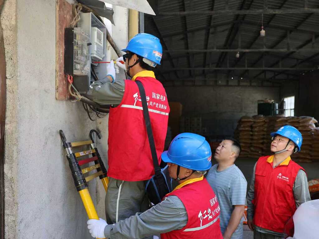 队员检查起航养鸡场用电线路。受访者供图