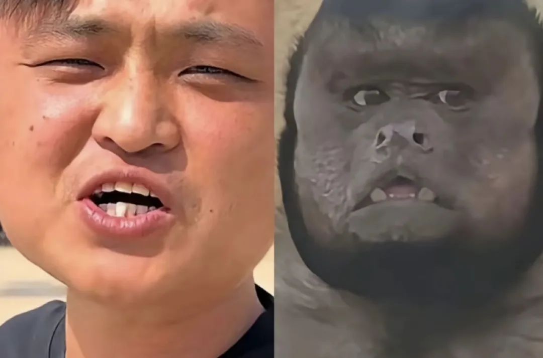 未命名图片