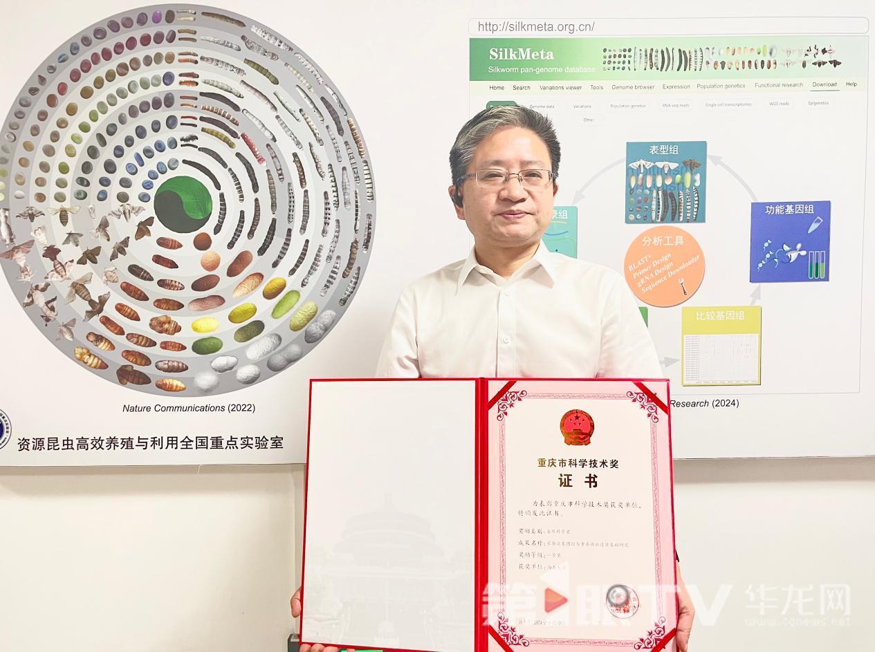 家蚕泛基因组与重要性状遗传基础研究,荣获重庆市科学技术奖自然科学类一等奖。