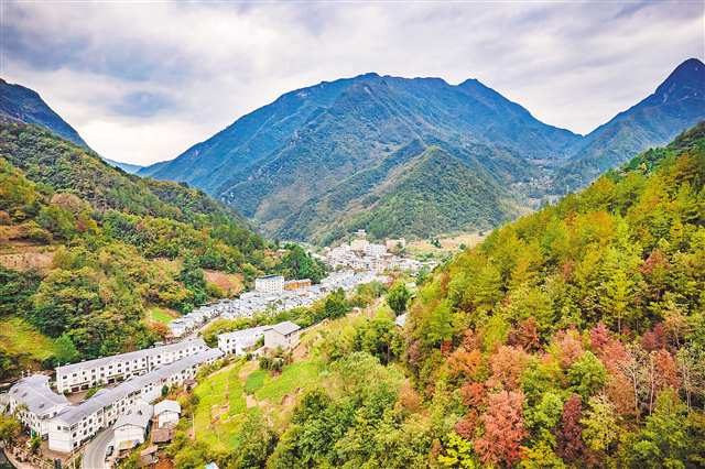 未命名图片
