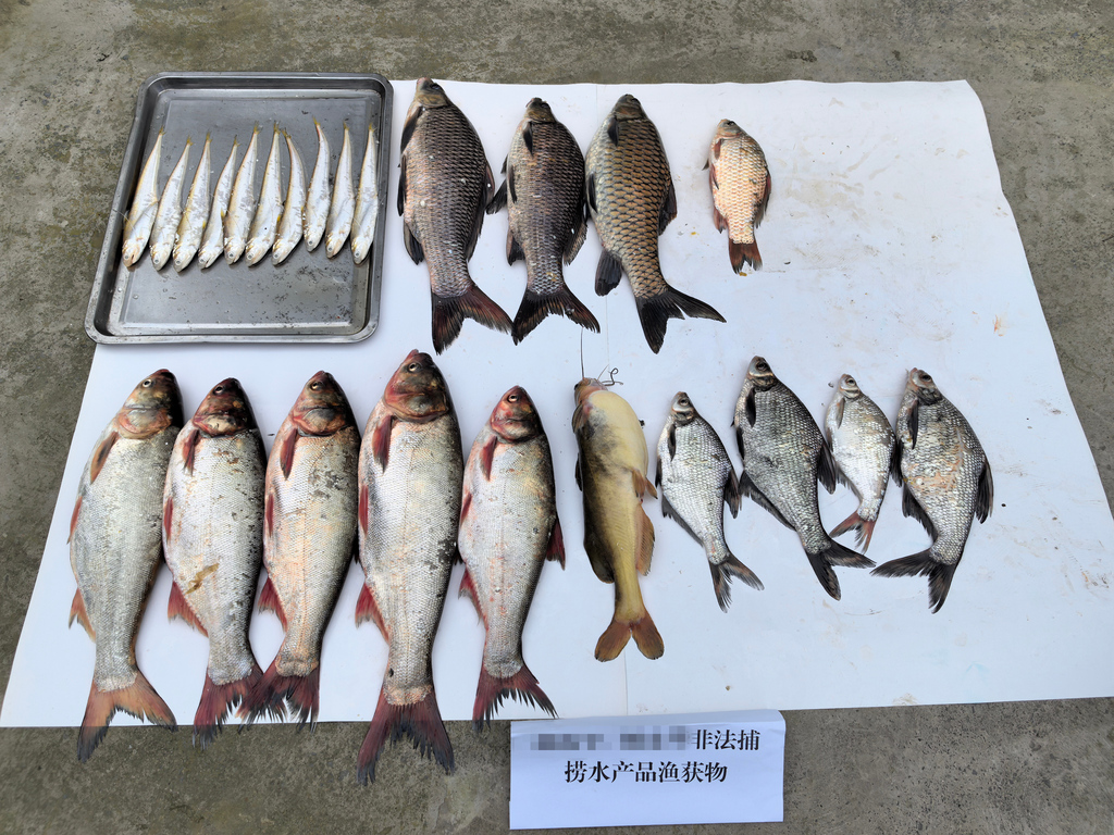 现场非法捕捞水产品渔获物。 警方供图
