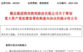 603303，重大资产重组！这个赛道大利好，6股获社保基金重仓