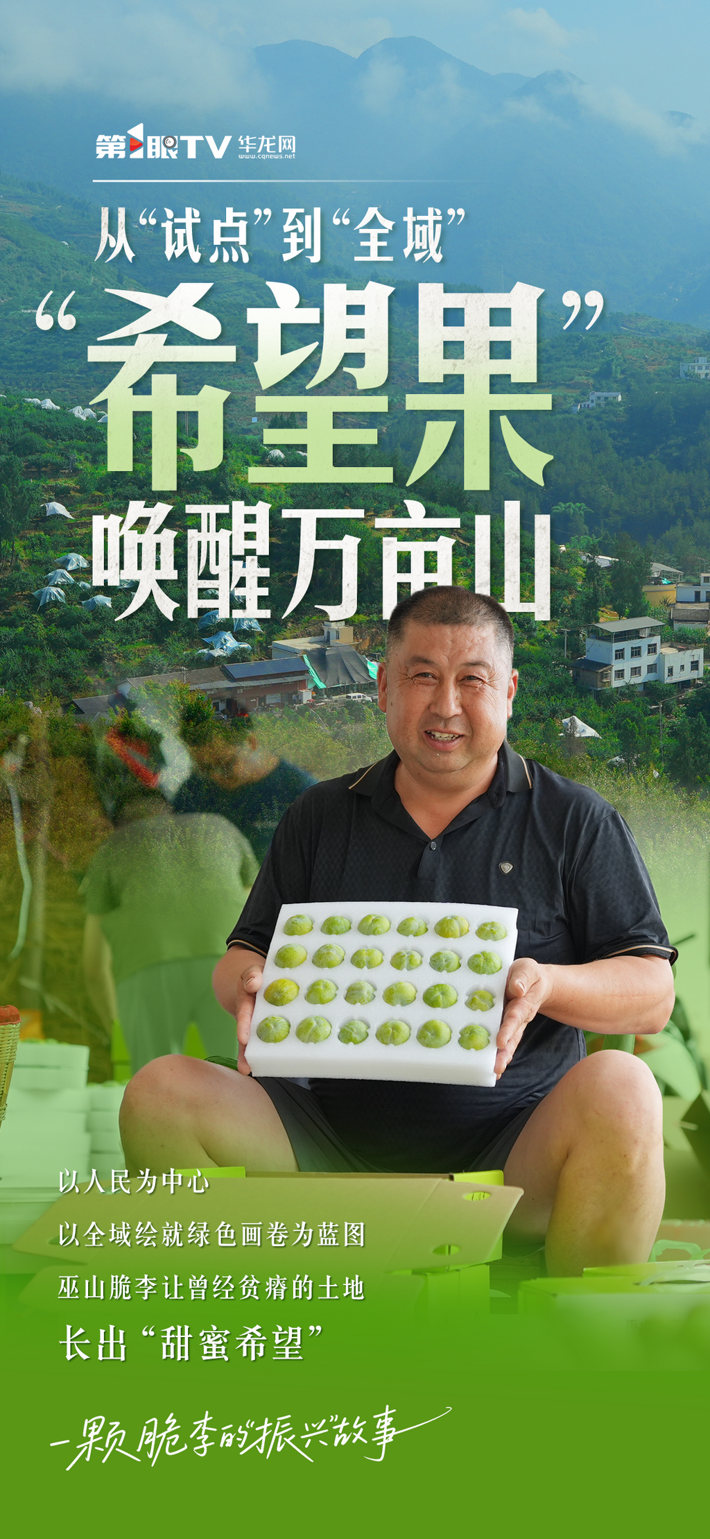 海报