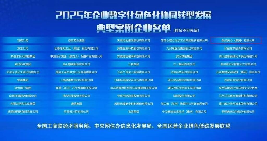 “2025年企业数字化绿色化协同转型发展典型案例”发布。受访者供图