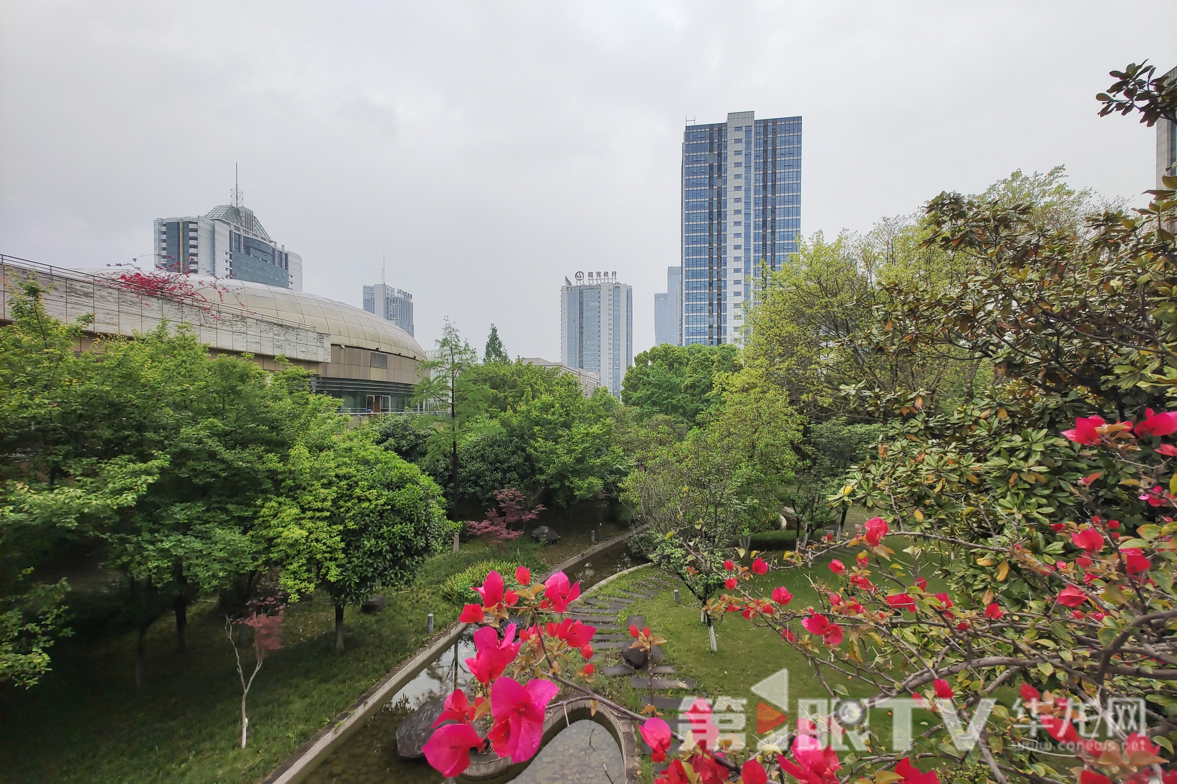 重庆中心城区今天有雨,体感温度凉爽。第1眼TV-华龙网记者 石涛 摄