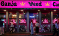 千亿产业崩塌夜：泰国医生处方杀死大麻经济？