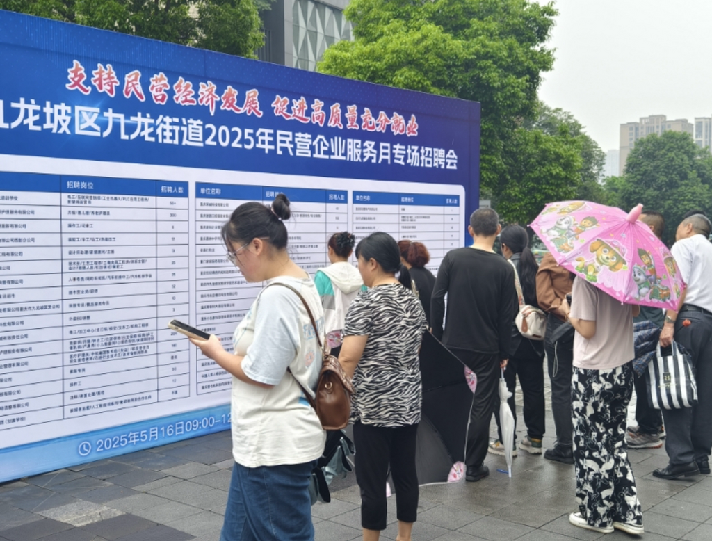 九龙街道举办“民营企业服务月”（成渝地区双城经济圈）专场招聘会。主办方 供图