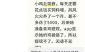 App里花上万元养的小鸡“一夜蒸发”？起底“云养殖”骗局