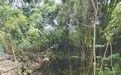央媒调查张家界溶洞污染：监管盲区何在？清污有何困难？