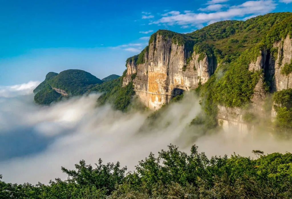 南川金佛山。景区供图