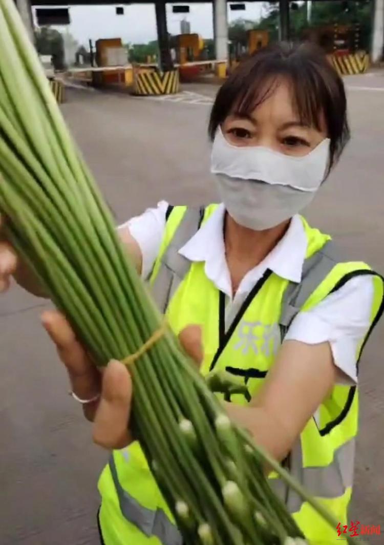 未命名图片