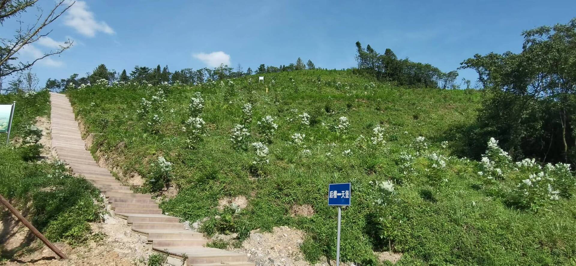 重庆市南川区乐村林场经营试点。重庆市林业局供图