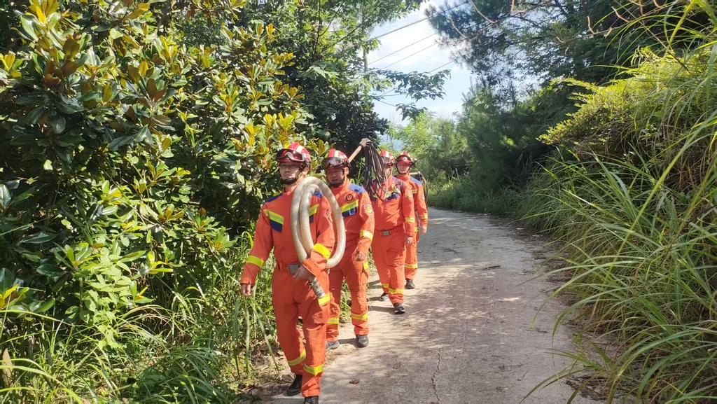 重庆市专业应急救援队南川支队带装巡护楠竹山森林公园。受访单位供图