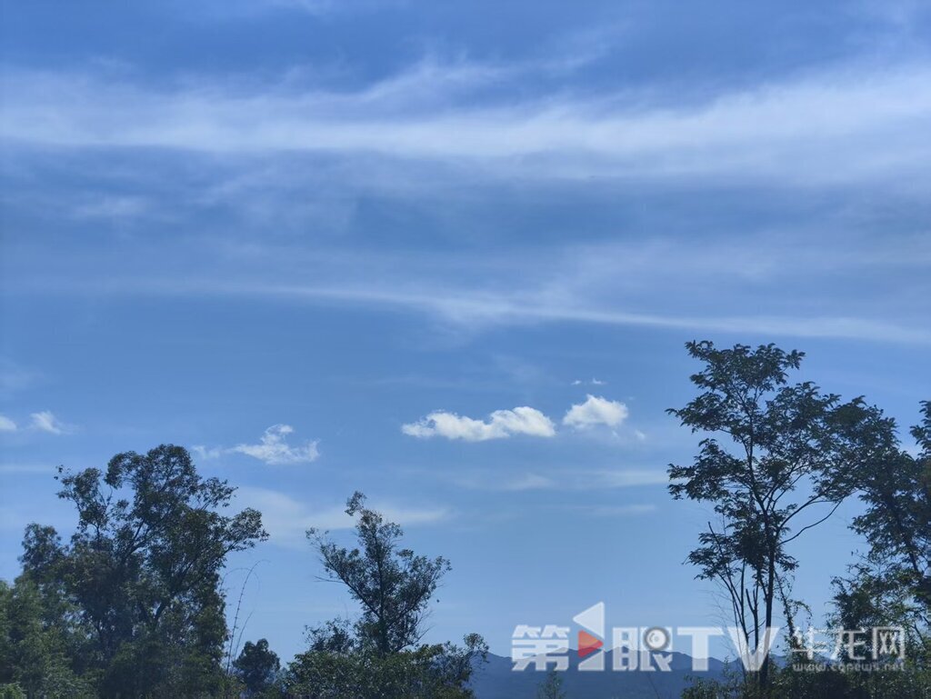 今日重庆中心城区天气晴热。第1眼TV-华龙网 实习生 刘湘婷 摄