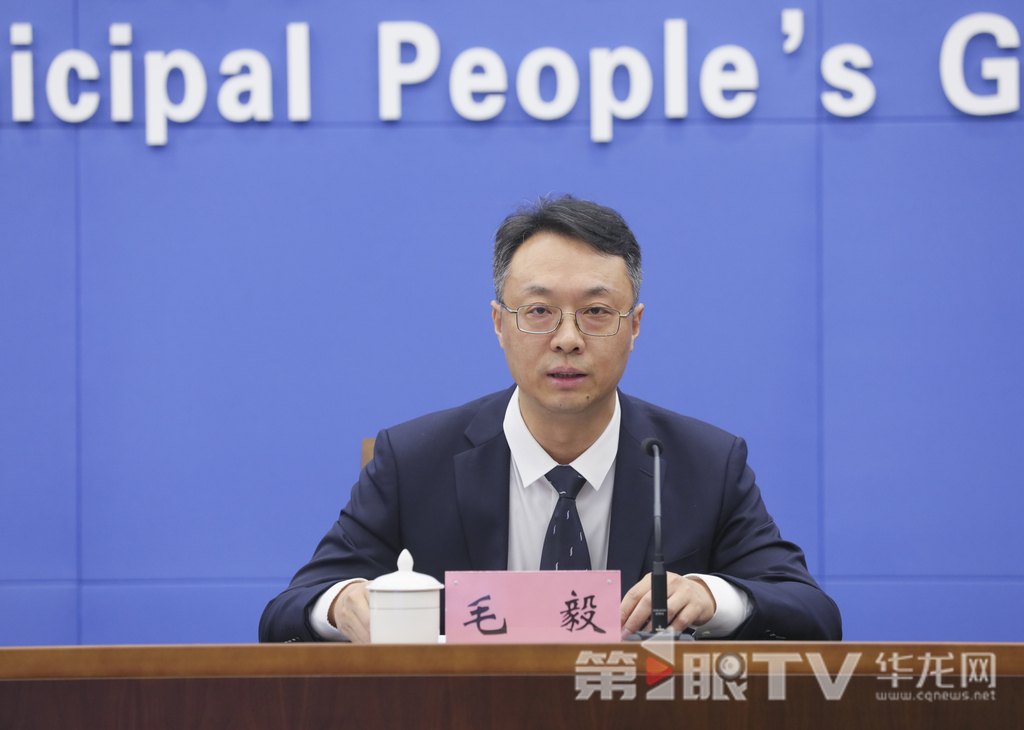 市能源局副局长毛毅回答记者提问。第1眼TV-华龙网首席记者 李文科 摄