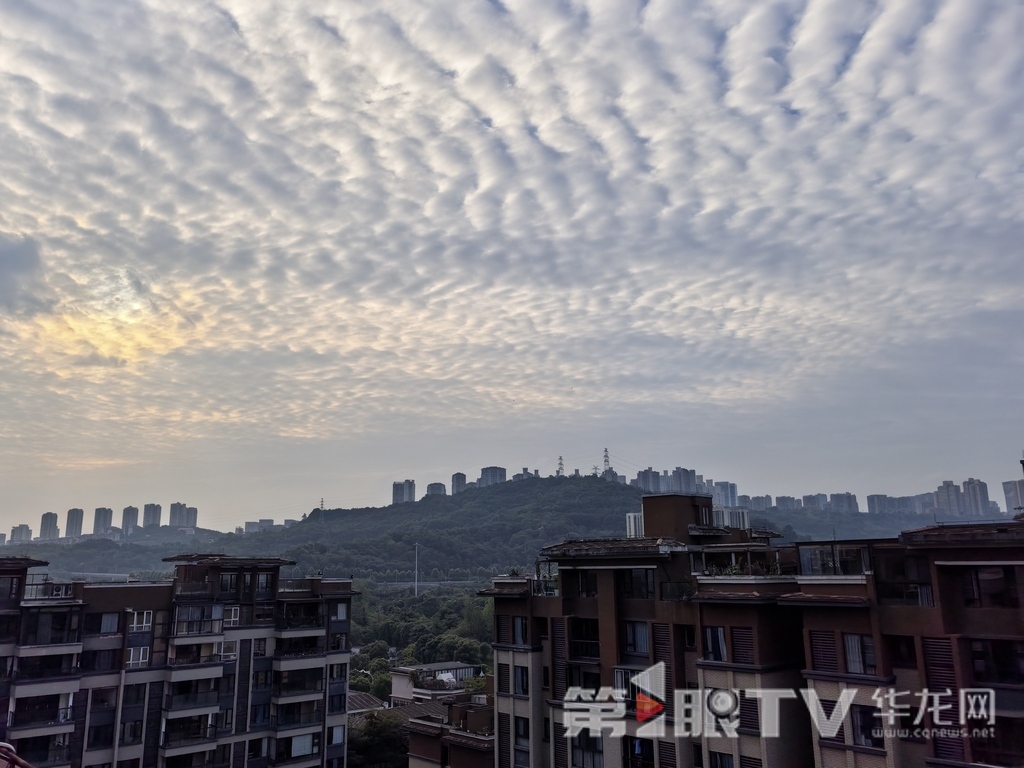 今日重庆中心城区天气晴好。第1眼TV-华龙网 李舒 摄