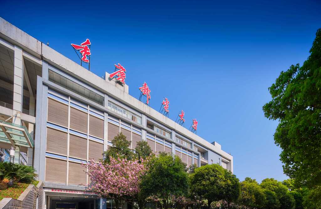 重庆邮电大学。受访单位供图