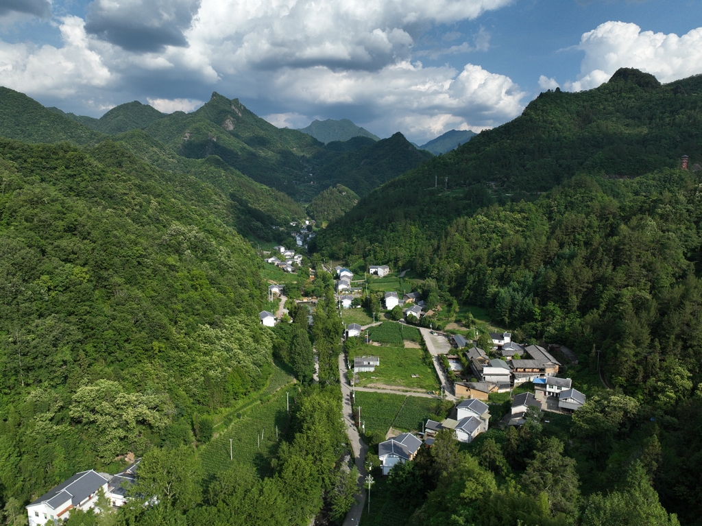 航拍城口县河鱼乡平溪村小微湿地。受访者供图