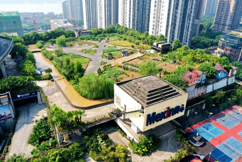 屋顶农场。受访者供图