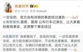 陈震再回应车祸