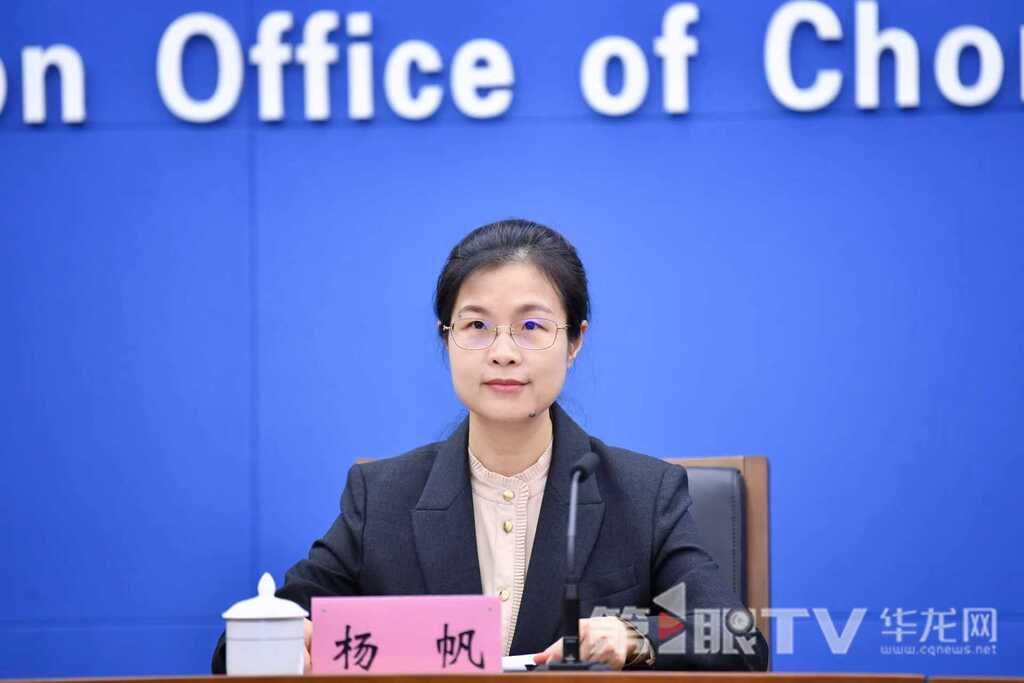 市经济信息委副主任杨帆回答记者提问。第1眼TV-华龙网记者 李一鸣 摄