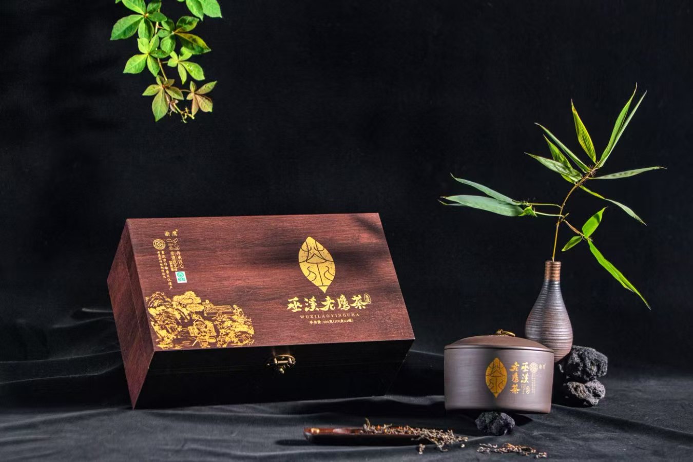 巫溪老鹰茶。受访者供图