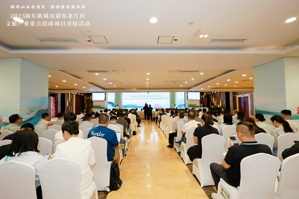 2025渝东新城及渝东北片区文旅产业重点招商项目对接活动举行。主办方供图