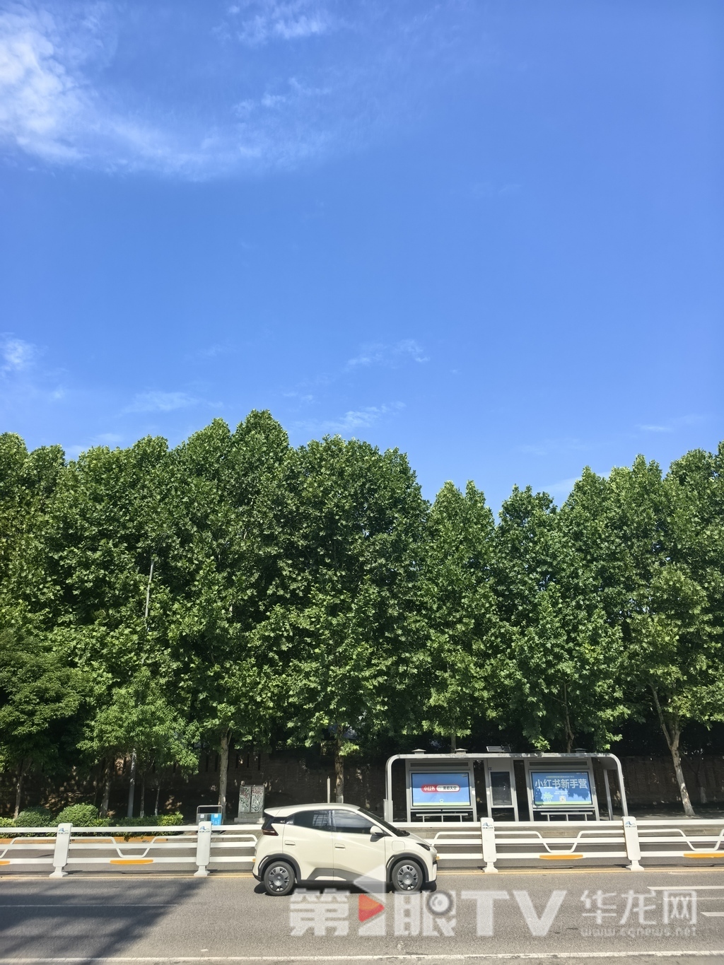 今日重庆中心城区天气晴好。第1眼TV-华龙网首席记者 李文科 摄
