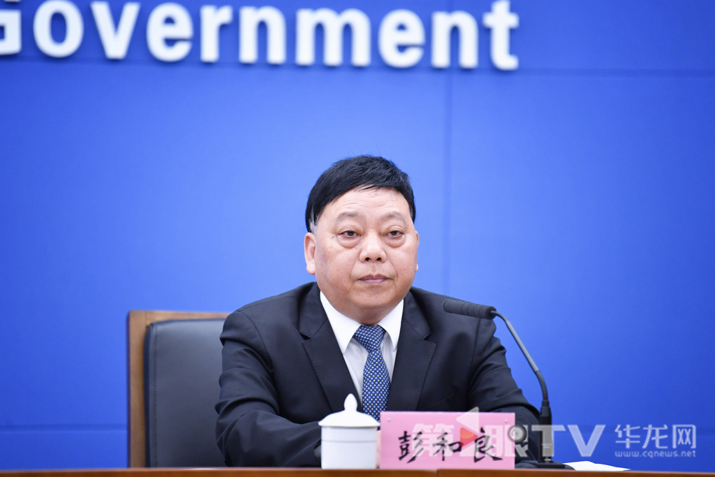 市商务委副主任彭和良回答记者提问。第1眼TV-华龙网记者 李一鸣 摄