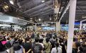 宇树机器人G1表演格斗！王兴兴最新透露：一直用AI写代码