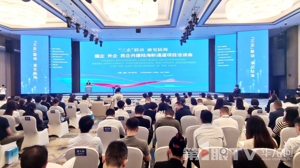7月10日，“三企”联动 渝见陆海——国企、外企、民企共建陆海新通道项目洽谈活动举行。第1眼TV-华龙网记者 梁浩楠 摄