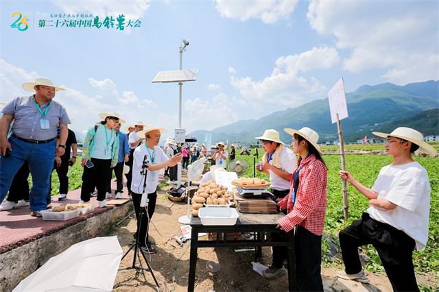 带货达人将直播间搬进田间为网友介绍巫溪洋芋。巫溪薯光农业供图