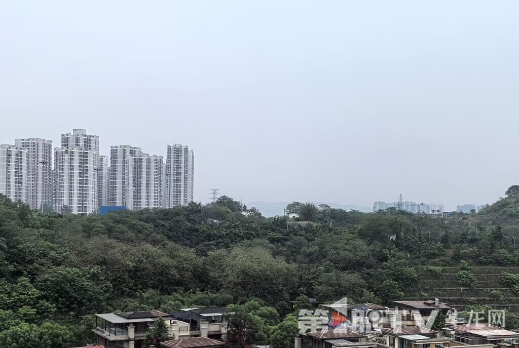今日重庆中心城区分散阵雨转阴天。第1眼TV-华龙网 李舒 摄