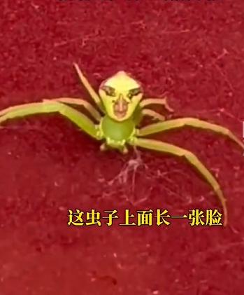 未命名图片