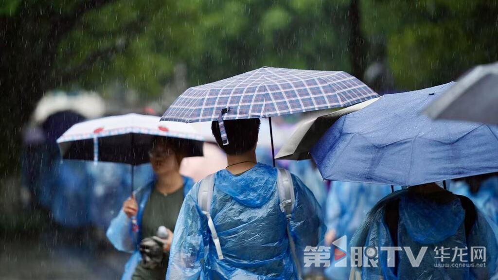 今日降雨，在西南政法大学校园内，学生参加完开学典礼后返回教室。 第1眼TV-华龙网记者 刘钊 摄